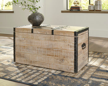 Dartland Storage Trunk