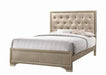 Beaumont Transitional Champagne Queen Bed image