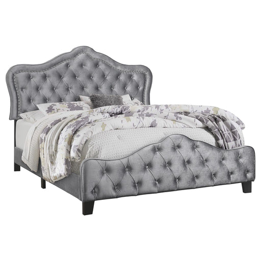 315871Q QUEEN BED image