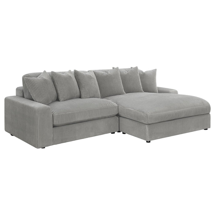 Blaine Sectional Sofa in Fog Velvet image